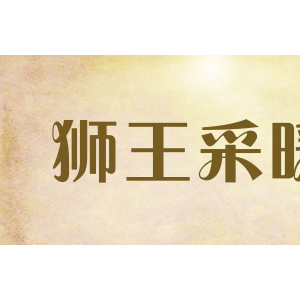 狮王采暖