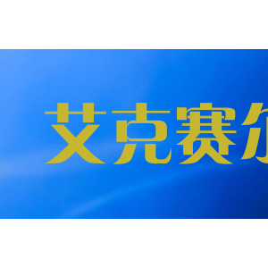 艾克赛尔/AXCEL