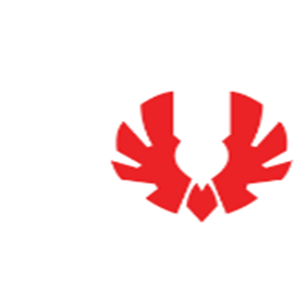 火鸟/BitFenix