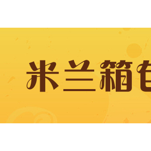 AC米兰箱包