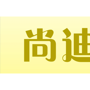 尚迪