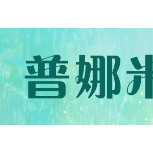 普娜米