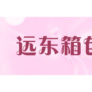 远东箱包