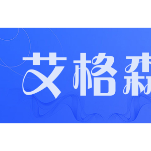 艾格森/aigson