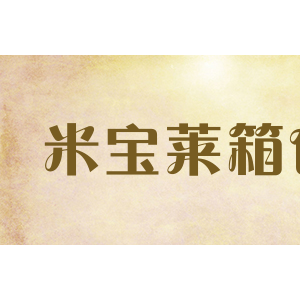 米宝莱箱包