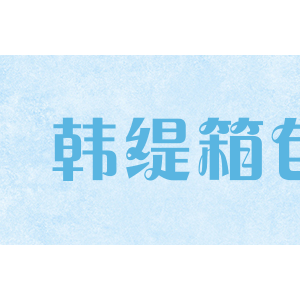 韩缇箱包