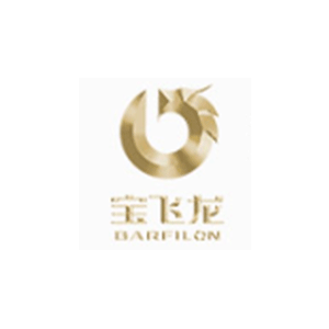 宝飞龙