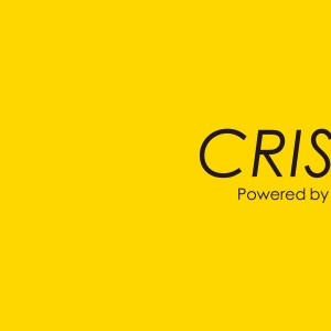 克里斯汀/cristin