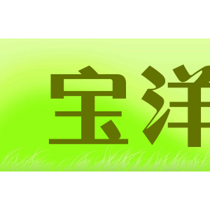 宝洋
