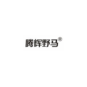 腾辉野马