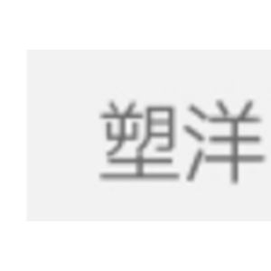 塑洋