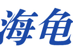 海龟/TURTLE