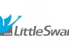 小天鹅/LittleSwan