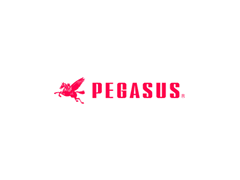 飞马/pegasus