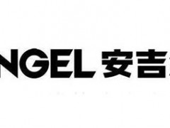 安吉尔/ANGEL