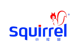 小松鼠/Squirrel