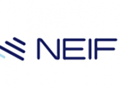 内芙/NEIFO