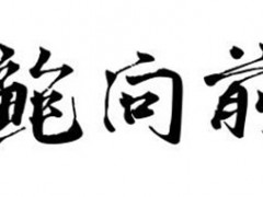 鲍向前