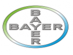 拜耳/Bayer