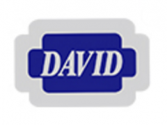 大卫/David