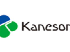 柳濑/kaneson