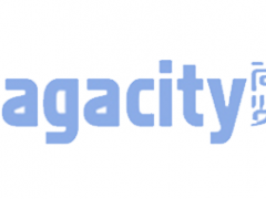 尚贤/Sagacity
