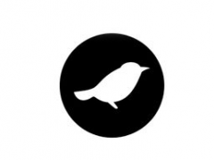 三顿半/Saturnbird Coffee