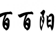 百百阳/BAIBAIYANG