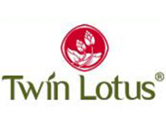 双莲/Twin Lotus