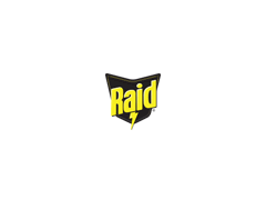 雷达/RAID