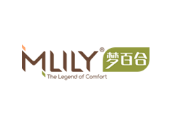 梦百合/Mlily