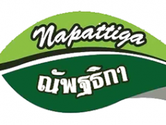 娜帕蒂卡/Napattiga