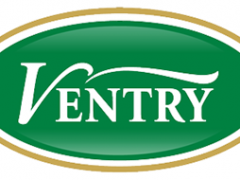 温特瑞/Ventry