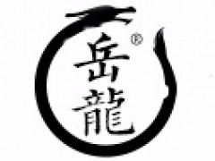 岳龙