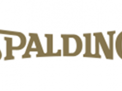 斯伯丁/Spalding