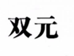 双元