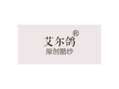 艾尔鸽