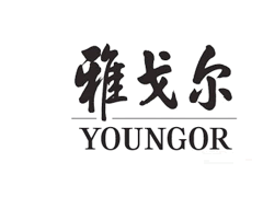 雅戈尔/YOUNGOR
