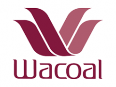 华歌尔/WACOAL