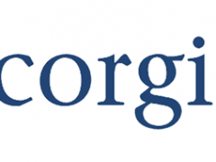 柯基/Corgi