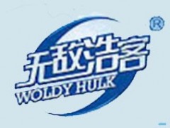 无敌浩客/WULDY HULK