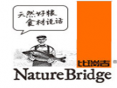 比瑞吉/BRIDGE