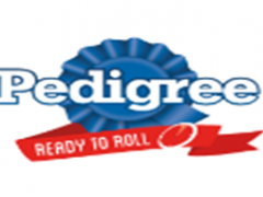 宝路/Pedigree