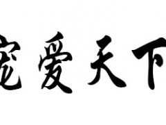 宠爱天下