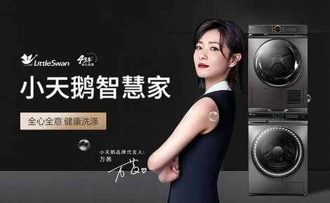 小天鹅LittleSwan