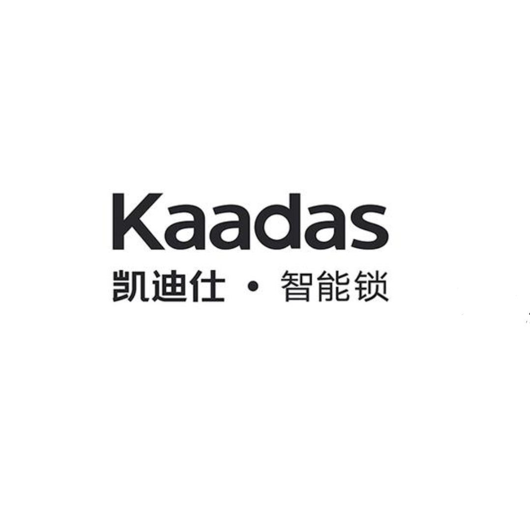 凯迪仕kaadas