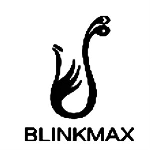 丽尊blinkmax