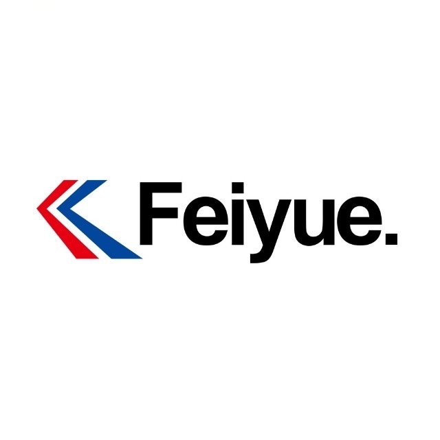 法国飞跃Feiyue (France)