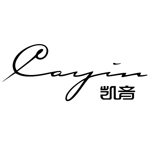 凯音Cayin
