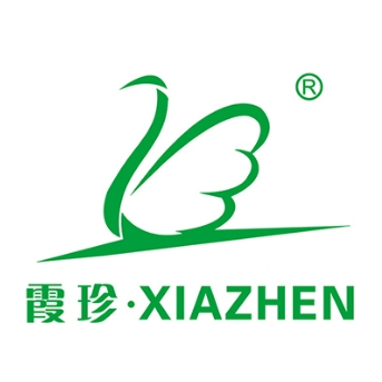 霞珍XIAZHEN
